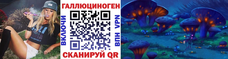 Псилоцибиновые грибы Psilocybine cubensis  Заозёрный 